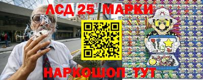 прущие грибы Пенза